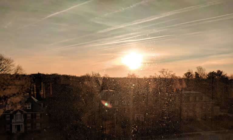 Atmospheric morning landscape photography with warm natural sunlight, dramatic silhouettes, and moody visual aesthetics for digital design inspiration.