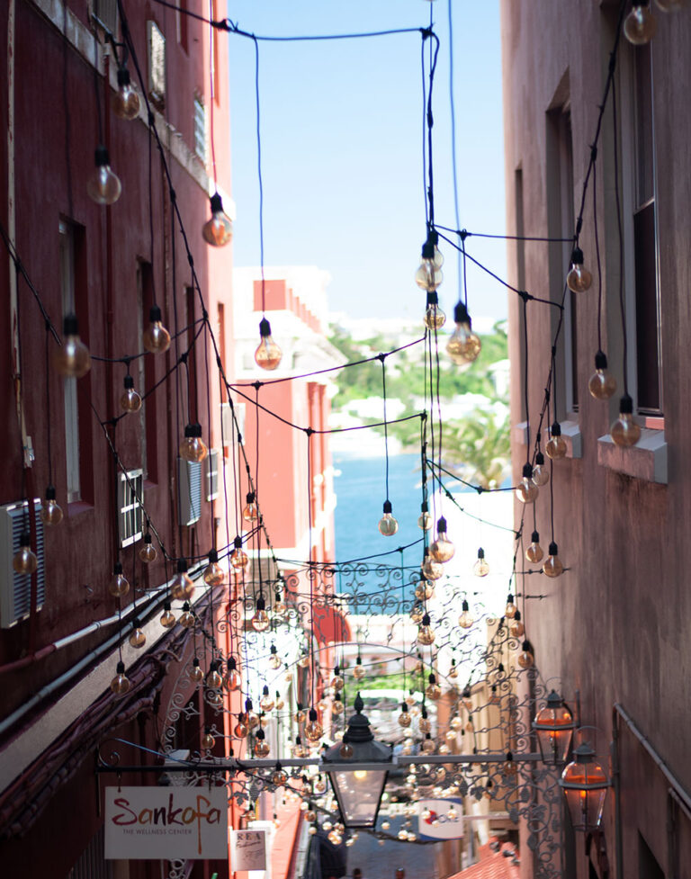 Cultural brand identity graphic design project incorporating the traditional Sankofa symbol.